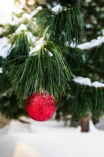 Snowy orman Noel dekorasyon — Stok fotoğraf