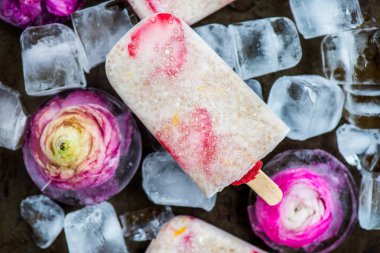 Chia tohum ve Hindistan cevizi sütü ile çilek Popsicles 