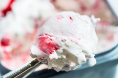 Vanilya Berry dondurma 