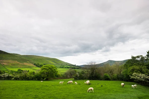 Vista sulle colline vicino a Edale, Peak District National Park, Regno Unito — Foto Stock