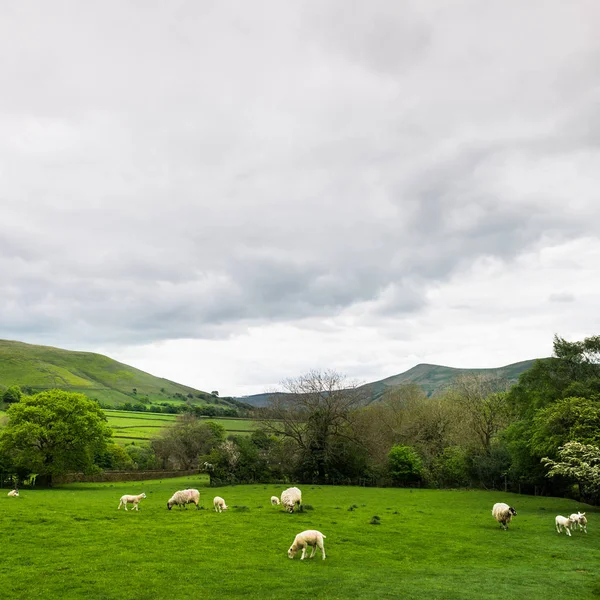 Blick auf die Hügel in der Nähe von edale, Peak District Nationalpark, uk — Stockfoto