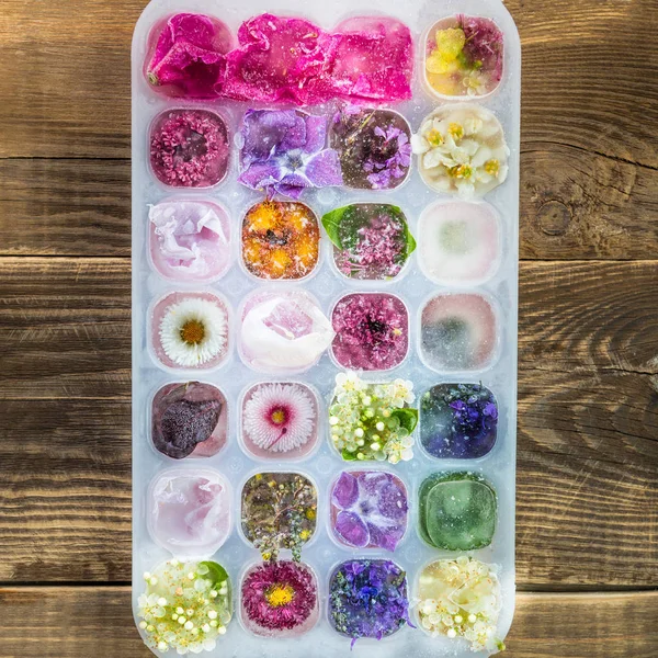 Tablett mit gefrorenen Blumen in Eiswürfeln — Stockfoto