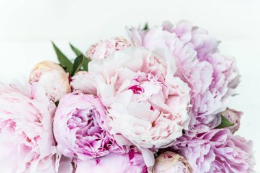 Pembe ve beyaz peonies taze demet