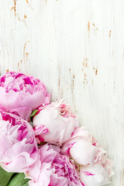 Mazzo fresco di peonie rosa — Foto Stock