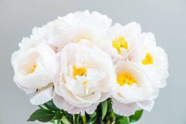 Güzel beyaz Çin peonies buket 