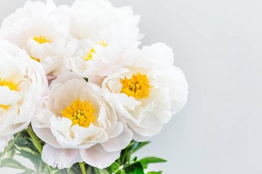 Güzel beyaz Çin peonies buket 