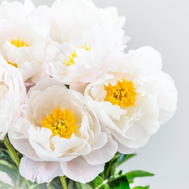Güzel beyaz Çin peonies buket 