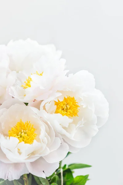 Hermoso ramo de peonías chinas blancas — Foto de Stock