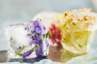 Donmuş buz çiçekleri