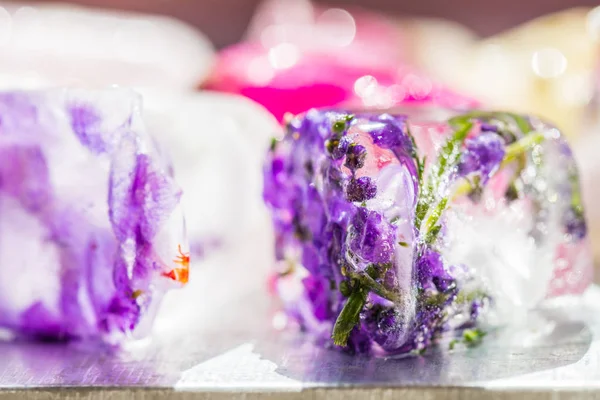 Frosne Blomster i Ice Cubes - Stock-foto