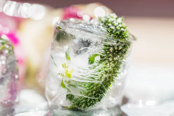 Donmuş buz çiçekleri