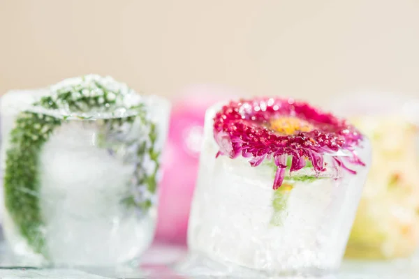 Flores congeladas em cubos de gelo — Fotografia de Stock