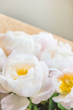 Güzel beyaz Çin peonies buket