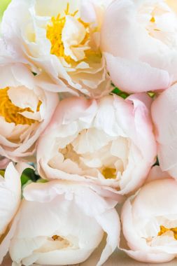 Güzel beyaz Çin peonies buket