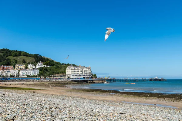 Llandudno tengerparti részén Észak-Wales, Egyesült Királyság — Stock Fotó