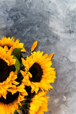 Gri zemin üzerine sarı ayçiçeği buket