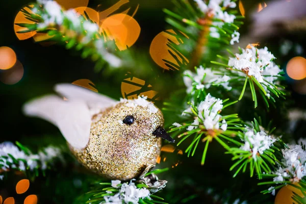 Christmas Robin Bird on the Xmas Tree — Stock Photo, Image