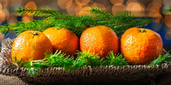 Clémentines ou tangerines fraîches, lumières de Noël et branches d'arbre de Noël — Photo