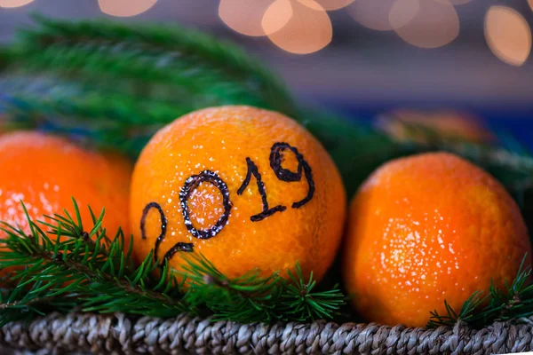 Nytt år 2019 är kommer koncept — Stockfoto