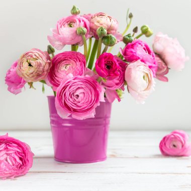 Pembe Düğünçiçeği düğün çiçeği çiçek ışık adam üzerinde pembe tencerede