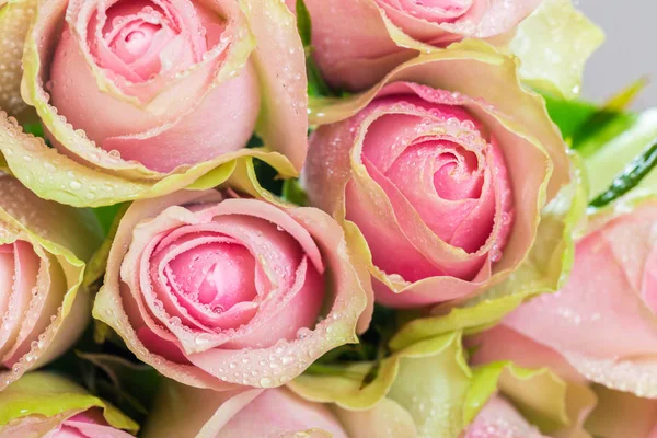Прекрасный букет из двух цветных роз — стоковое фото
