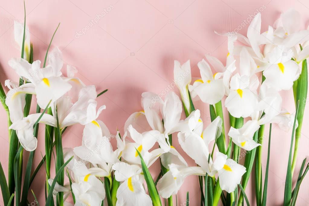 Bouquet of Beautiful Iris Flowers