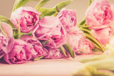 Güzel grup mor Şakayık stil laleler