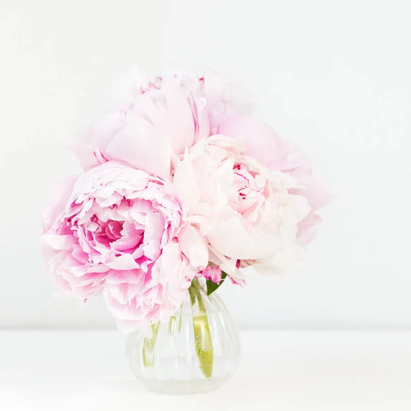 Bando fresco de peônias cor-de-rosa em fundo de madeira branca — Fotografia de Stock