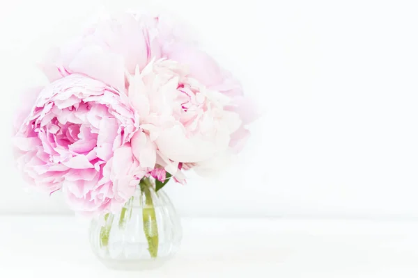 Bando fresco de peônias cor-de-rosa em fundo de madeira branca — Fotografia de Stock