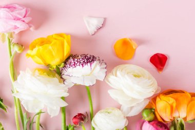 Düğünçiçeği düğün çiçeği çiçek farklı renkler