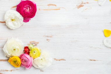 Düğünçiçeği düğün çiçeği çiçek farklı renkler