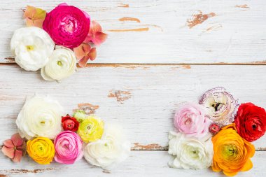 Düğünçiçeği düğün çiçeği çiçek farklı renkler