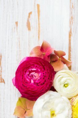 Düğünçiçeği düğün çiçeği çiçek farklı renkler