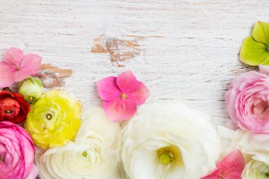 Düğünçiçeği düğün çiçeği çiçek farklı renkler