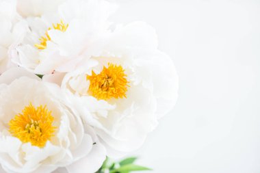 Güzel beyaz Çin peonies buket