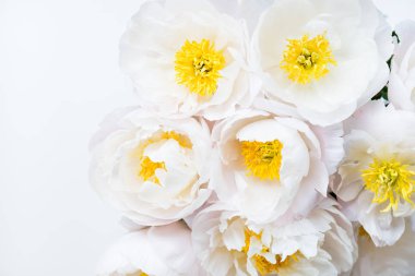 Güzel beyaz Çin peonies buket