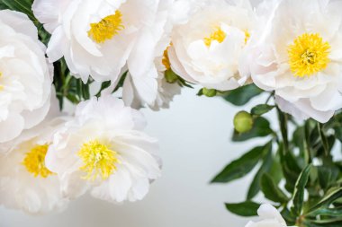 Güzel beyaz Çin peonies buket