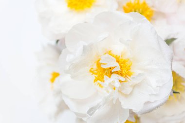 Güzel beyaz Çin peonies buket