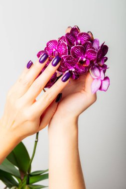 Mor moda kadın manikürü.