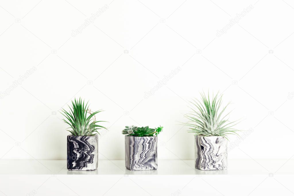 Marbled geometric succulent planters with beautiful tiny plants
