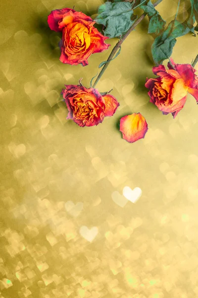 Сушеные оранжевые розы, букет красивых выцветших цветов — стоковое фото