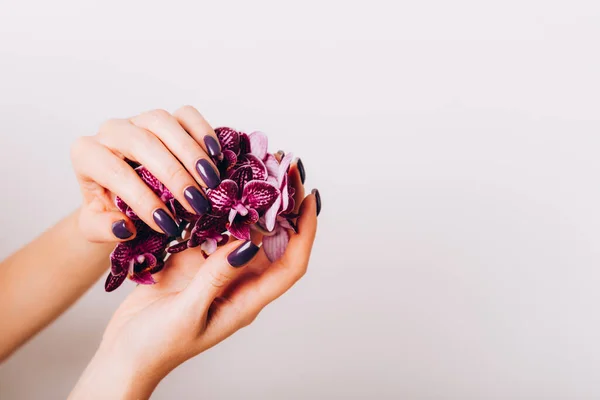 Elegante manicura femenina púrpura de moda — Foto de Stock