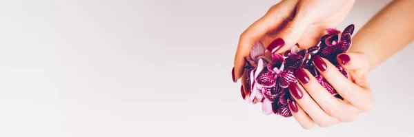 Elegante manicura femenina púrpura de moda — Foto de Stock