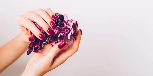 Elegante manicure feminina púrpura na moda — Fotografia de Stock