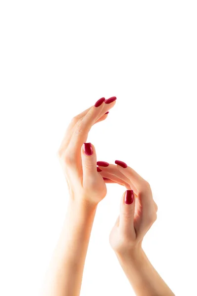 Elegante Manicure Femminile Rossa Alla Moda Giovane Donna Mani Sfondo — Foto Stock