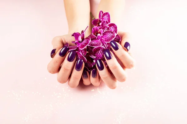 Stylish Trendy Purple Female Manicure Woman Hands Holding Orchid Flowers — Stock Photo, Image