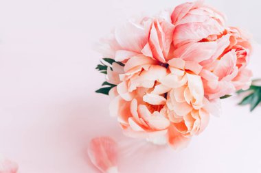 Pembe arka planda vazoda bir demet pembe şakayık ve güller. Kart konsepti, pastel renkler, kopyalama alanı
