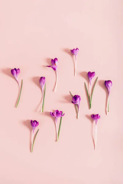 Diseño Creativo Hecho Con Flores Cocodrilo Primavera Sobre Fondo Rosa — Foto de Stock