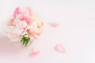 Pembe arka planda vazoda bir demet pembe şakayık ve güller. Kart konsepti, pastel renkler, kopyalama alanı