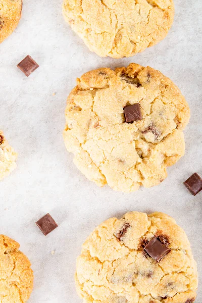 Çikolata parçacıklı vanilyalı bisküvi.